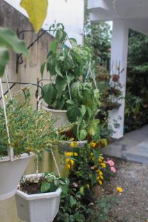 Villa Sunset Tides - 7