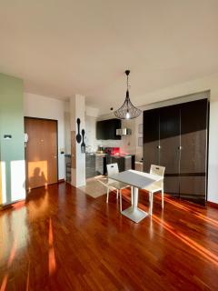 Agrippa terrace apartment - Milan - 2