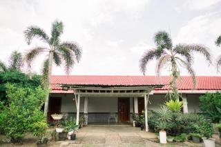 Melvo's Garden R6 - 3