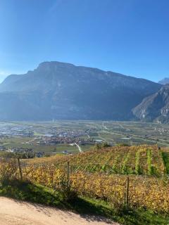 Agritur Chalet Belvedere - Giovo - 8