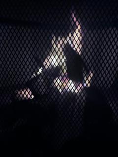 Aeneas Villa Pool & Jacuzzi al mare Torre Guaceto - 1