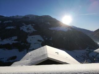 Nature luxury Chalet INSToul - Lutago - 4