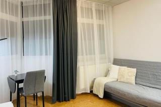 Cozy Studio Apartment - 1