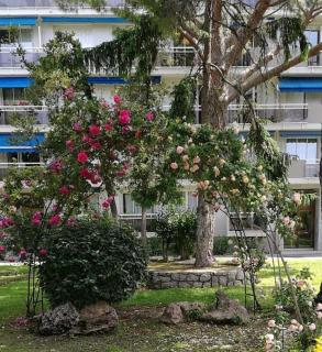 Flat air conditioning 4 people near stadium beach - 2