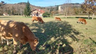 Caserio Aritziberre - - 1