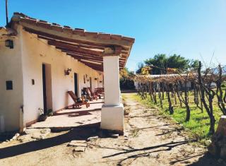 Alojamiento FINCA ENCANTO DEL VALLE - Cafayate - 2