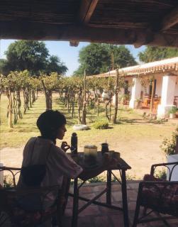 Alojamiento FINCA ENCANTO DEL VALLE - Cafayate - 3