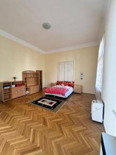 Renáta great apartmant - Szeged - 0