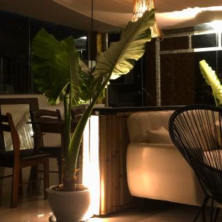 TIL DAWN Phuket - Ban Karon - 7