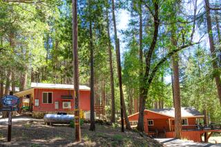 Riverfront Retreat - North Wawona - 6