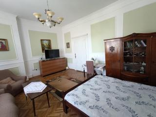 Старовинні апартаменти у центрі міста - Uzhhorod - 8