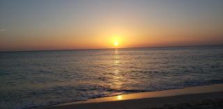 Cayman Reef Resort 7-Mile Beach - George Town - 4