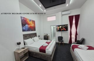 Authentic Belgrade Centre - New Year 2026 - Suites and large Apartments for Groups - Up to 63 Guests in one Building - 3