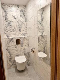 APARTAMENT TYCHY MIASTO 60m2 - 3