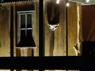 Country Cottage Sunshine Coast - Montville - 6