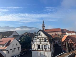 Duplex moderne à 10 minutes de Colmar - Wintzenheim - 1