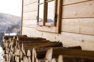 Brandluckner Nesterl - 1