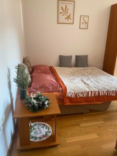 Stan na dan - Novi Sad - 3
