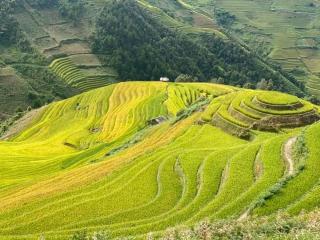 Homestay Ngọc Thủy Điểm dừng chân lên Đồi Mâm Xôi - Mù Cang Chải - 4