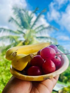 Bungalow cosy Mon petit Diamant avec piscine privé - 8