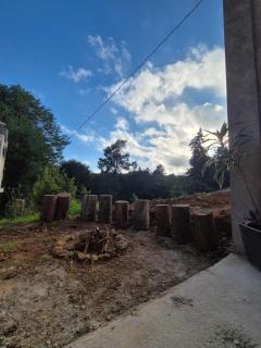 La Cabaña Zacatlán2 - Zacatlán - 7