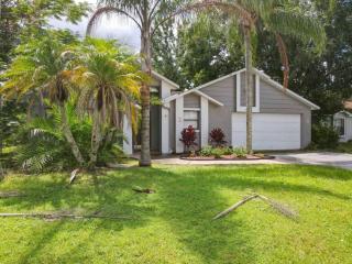Private 4BR villa with Screened in pool large yard - Kissimmee - 0