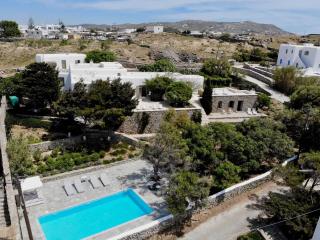 Traditional villa with swimming pool - Ano Mera - 0