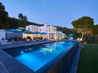 Super villa with swimming pool - 2