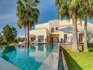 Spacious villa with infinity pool - 3