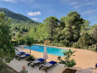 Villa with private pool - Sant Cebrià de Vallalta - 4