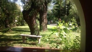 Los Aguaribays - Los Cocos - 7