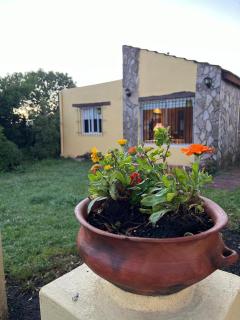 el maiten - Mar del Plata - 1
