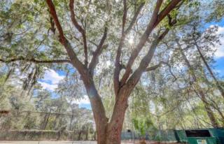 #88 Elegant 3-Bedroom Pet Friendly with Parking - Hilton Head Island - 7