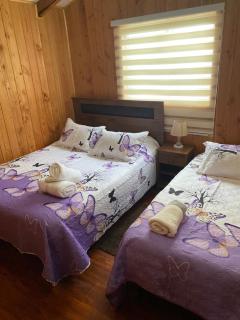 Cabaña jazmin - Chaitén - 3