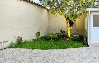 Casa céntrica Las Higueras - Tarija - 5