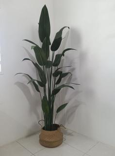 Kak Chik Homestay Tasek Gelugor - 1