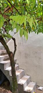 Sandy Steps - Kalutara - 2