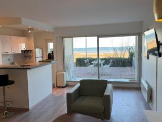 Appartement 3 pièces avec accès direct plage et WiFi - FR-1-487-377 - 9