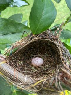 Villa Monieri Espectacular Casa en Rivera - 5