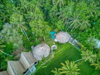Bamboo Cabin Sanctuary by Nusantara Hospitality - Ubud - 5