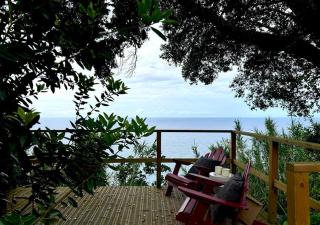 House in Ponta Garça - 0