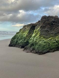 House in Ponta Garça - 5