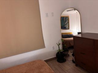 Rooftop & central Apartment - Mexico City - 6