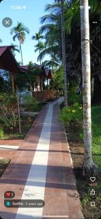 Gold Coast Resort - Diglipur - 3
