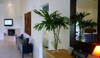 Dolphin Retreat - East Boca Raton - Boca Raton - 7