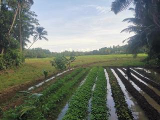 Nature Villa - Kalahe - 9