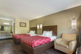 Econo Lodge Fort Knox - Radcliff - 6