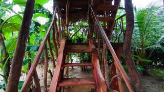 Sigiriya Rock View Tree house - Sigiriya - 7