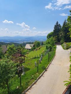 Apartma Maya - Cerklje na Gorenjskem - 7