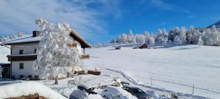 Haus Wiesenruh - amazing views & setting - Seefeld in Tirol - 0